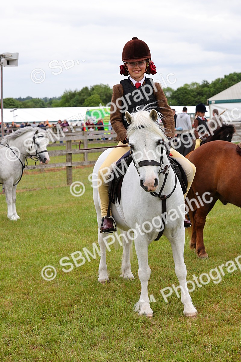 SBM_08838 - Class 42-43 - LIHS BSPS Heritage Working Sports Pony