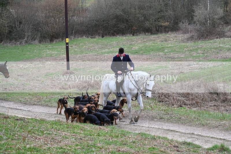WJ7_7298 - Walk Home