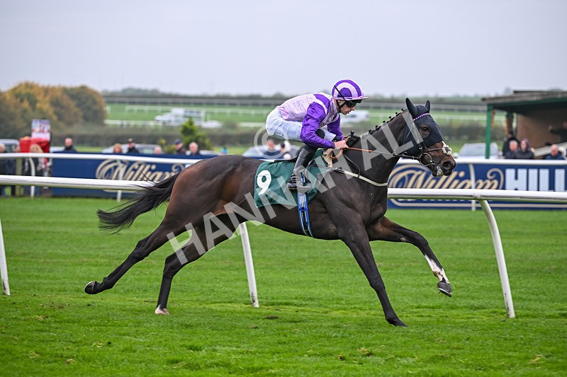 181025-Race 3-Secret Sonata-0498 - Race 3