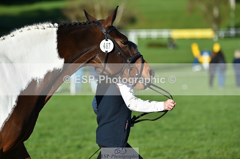 231022-095014-22060 - 467-WELLSHEAD.SQUIGGLE-Emily.Illing-TrotUp+SJ