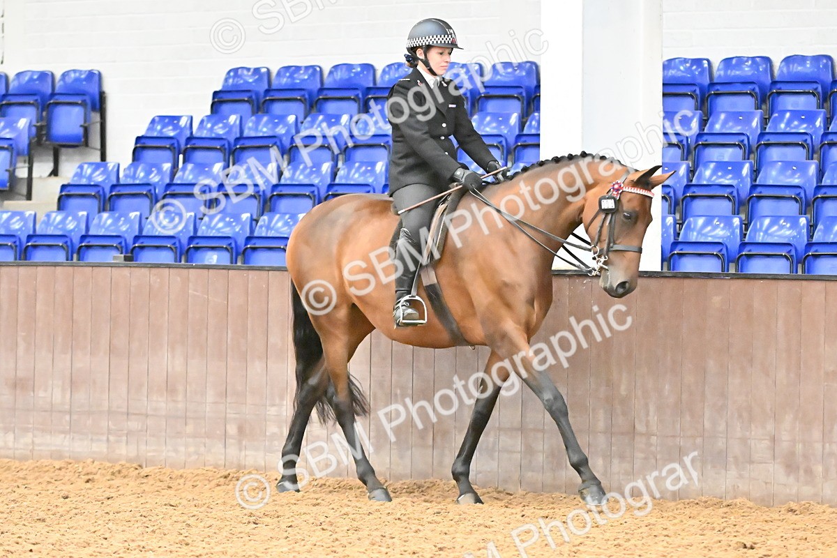 SBM_002326 - Class 22 - BSHA Ridden Hack & Riding Horse