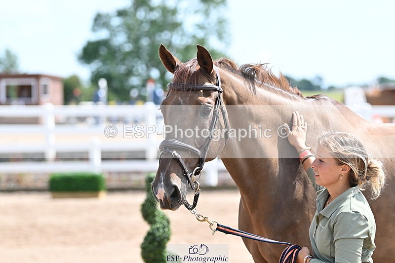 240717A-151140-02635 - Trot Up 3pm to 4pm