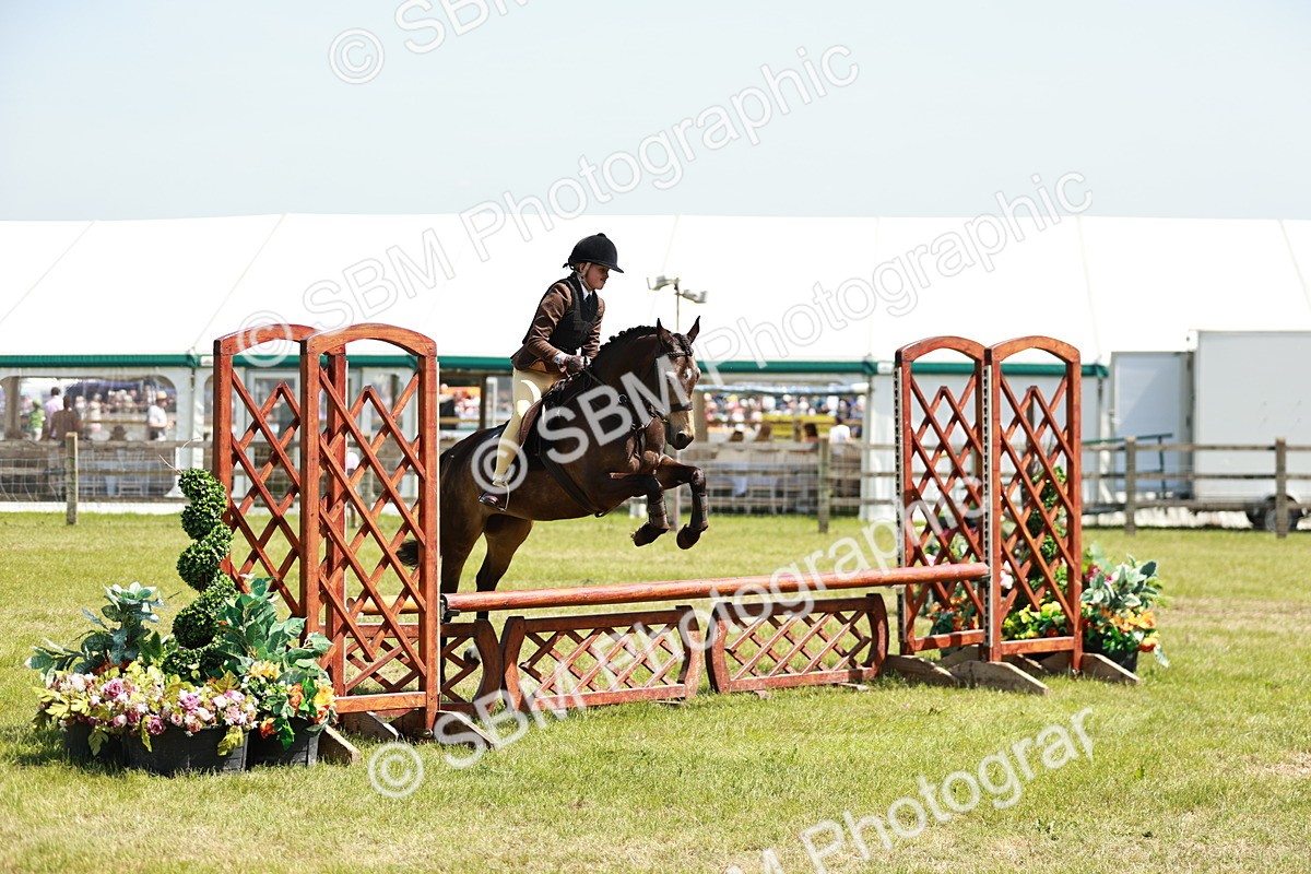 SBM_15450 - Class 108-109 - BSPS LIHS Open Gradle & Nursery Stakes