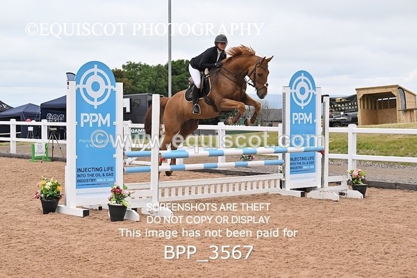 BPP_3567 - CLASS 1 WED Nupafeeds Senior Dicovery/1m open