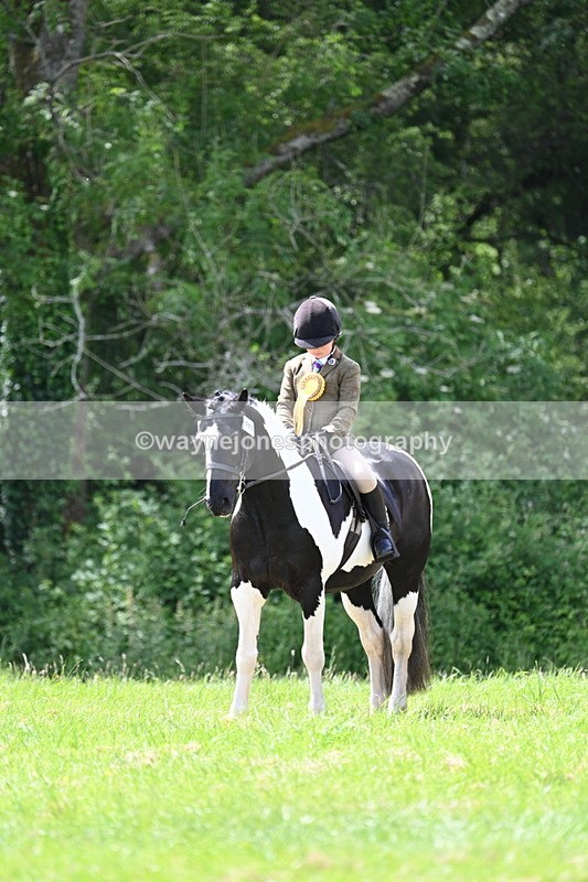 WJ7_2699 - Class 12A Coloured Class