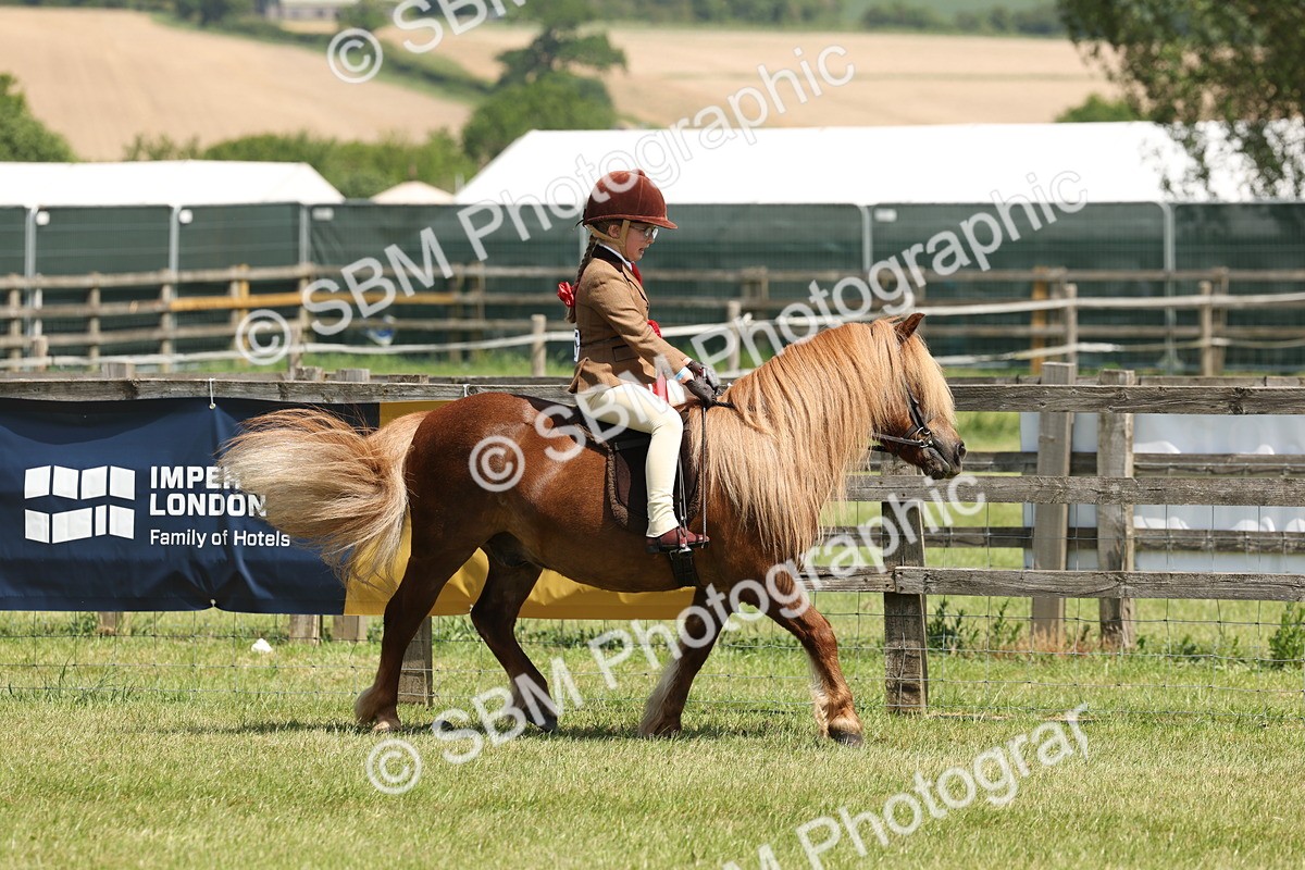 SBM_05380 - Class 24-25 - Mountain & Moorland In Hand Lead Rein and First Ridden