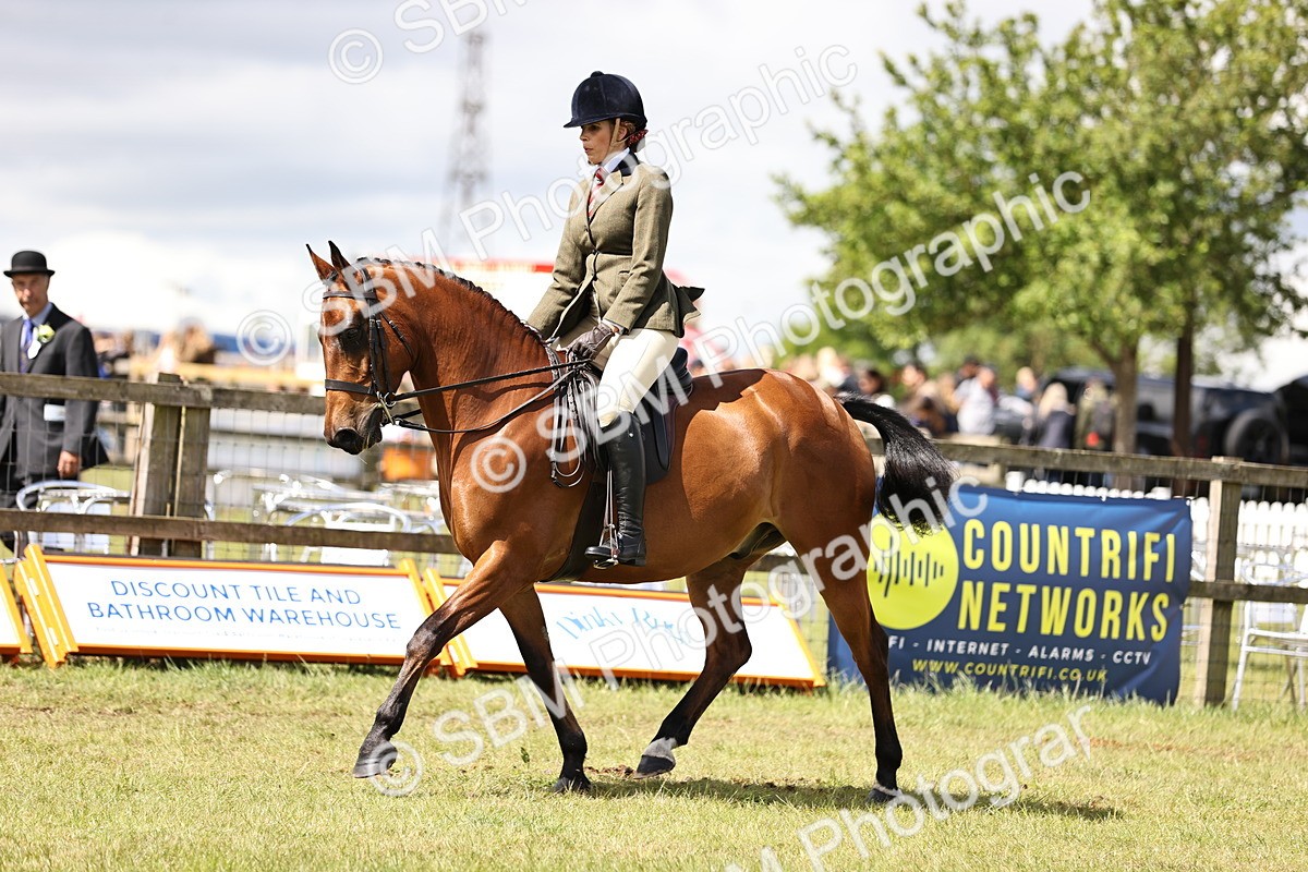 SBM_14547 - Class 88-89 - LIHS BSHA Rising Star of Ridden Hunter Type