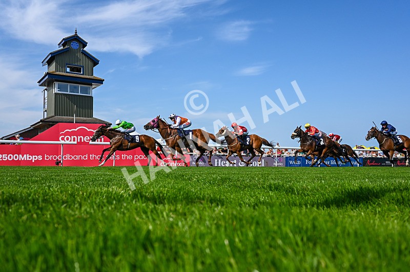 130826-Race 4-Shazani-5296 - Race 4 15.45pm Connexin Super Fast Sprint Handicap