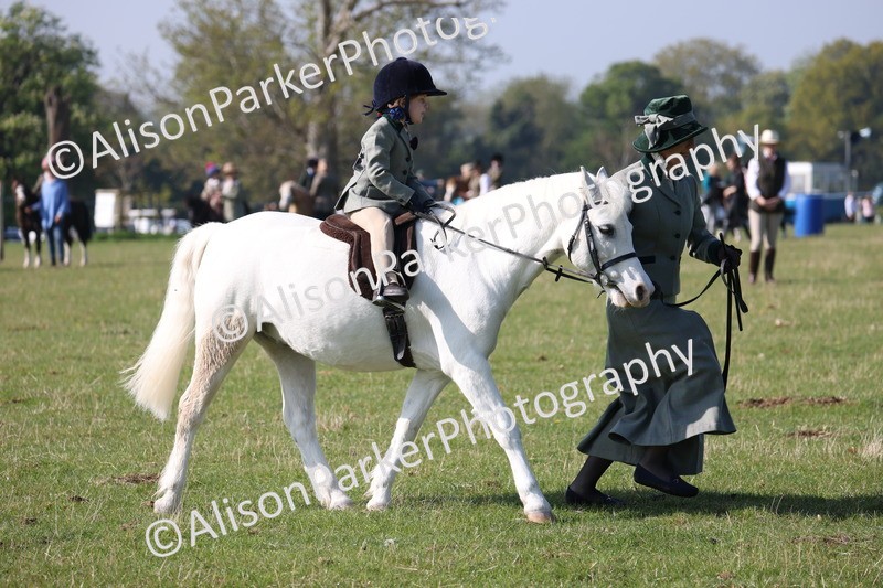 20250427-0137 - Class 30 - Tiny Tots Lead Rein