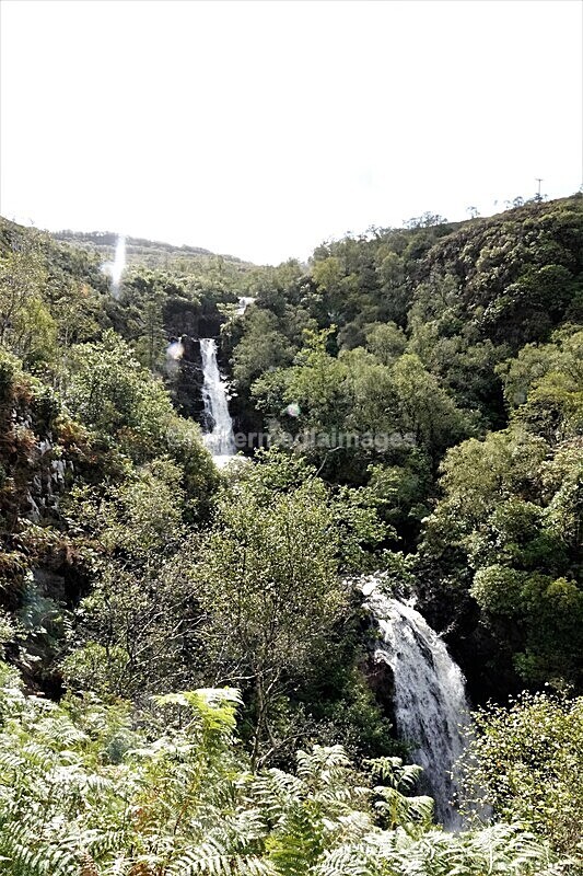 DSC07835 - SEPT 2020 STAYCATION