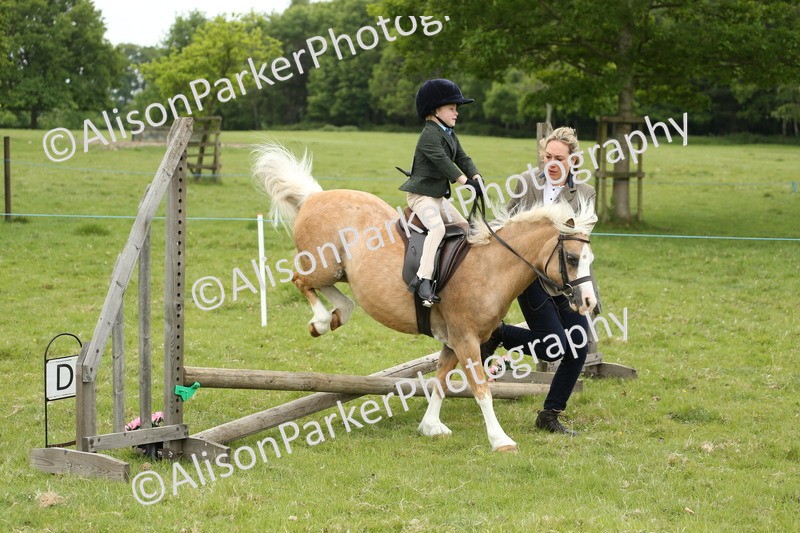 20250517-0444 - Class 20 - Beginners Working Hunter