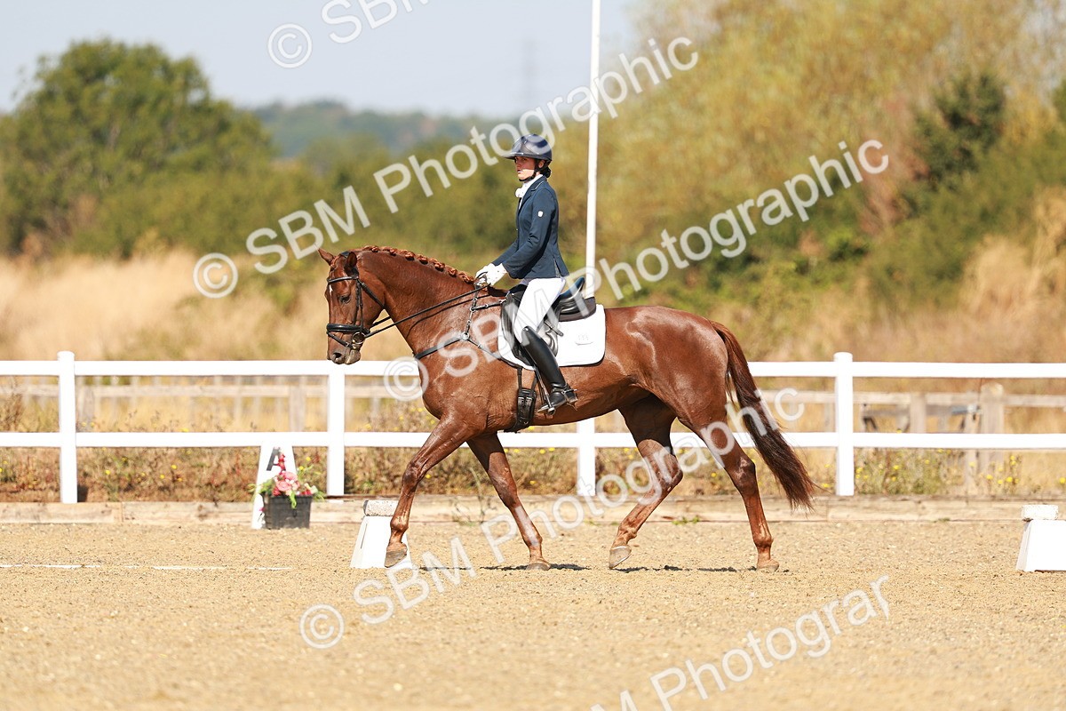 SBM_017526 - Class 9 - N5 Bronze 10.33.11.36