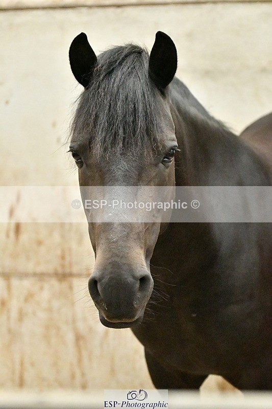 230803A-160632-00793 - Danielle's Ride