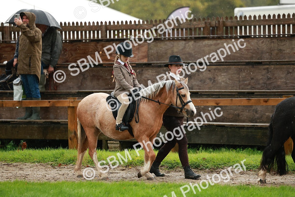 SBM_33696 - S9 - Lead Rein Equitation