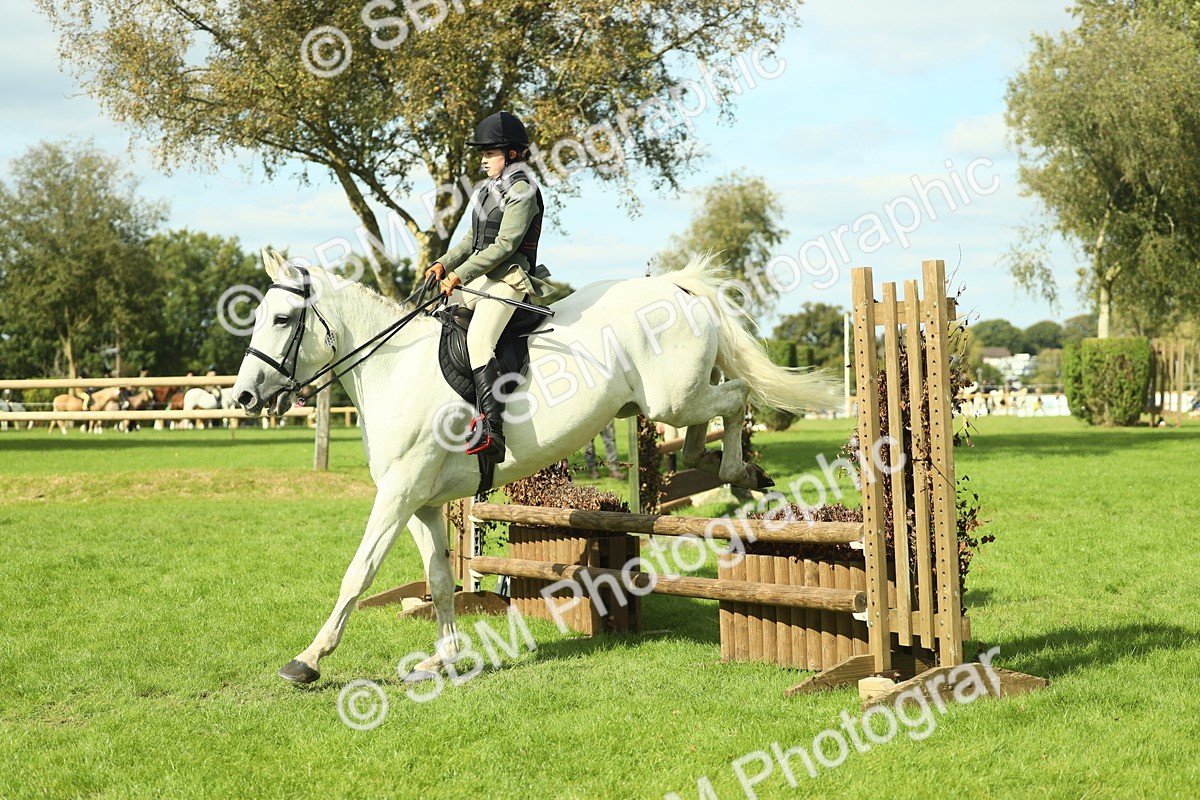 SBM_48045 - S32 - Novice & Newcomers Working Hunter
