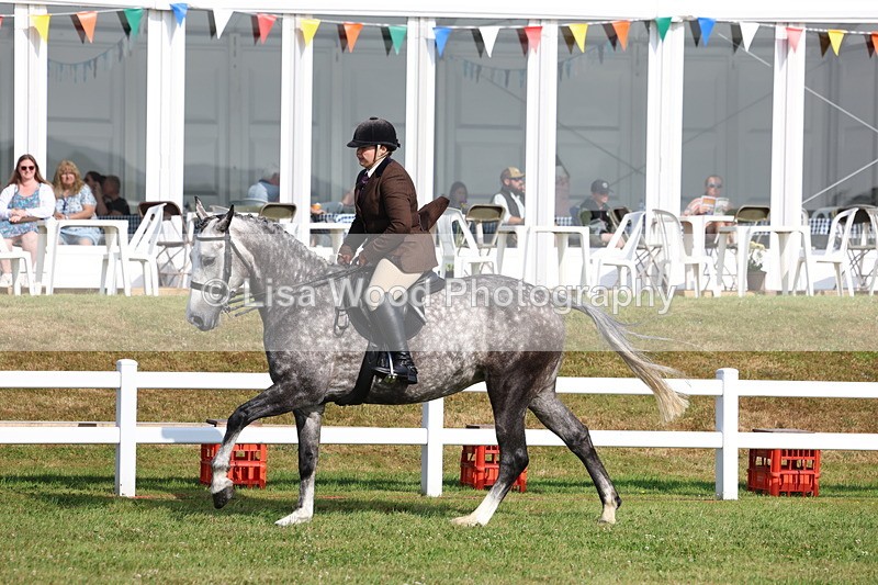 3E7A8621 - Class 3: Rising Star S/L Hunter