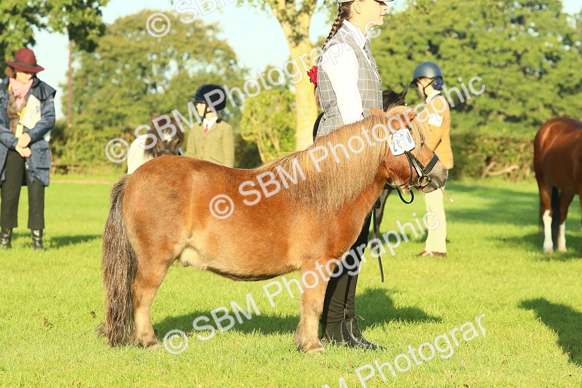 SBM_57427 - S37 - Starters In Hand Showing