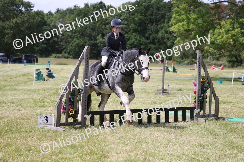 20260614-1964 - Class 21 - Novice Working Hunter Pony