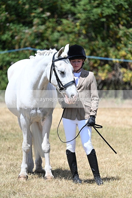WJ7_2198 - Class 5 Most Handsome Gelding (up to 14.2hh) in hand