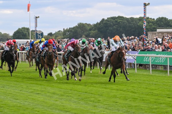 210825-Race 2-Song Of The Clyde-3956 - Race 2 2.25pm Harry's Half Million By Goffs