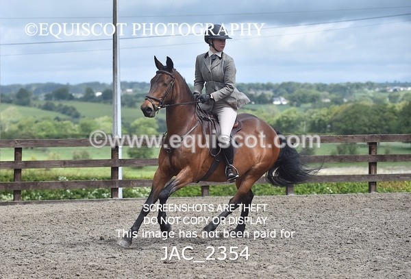 JAC_2354 - CLASS 3 Intermediate Working Hunter
