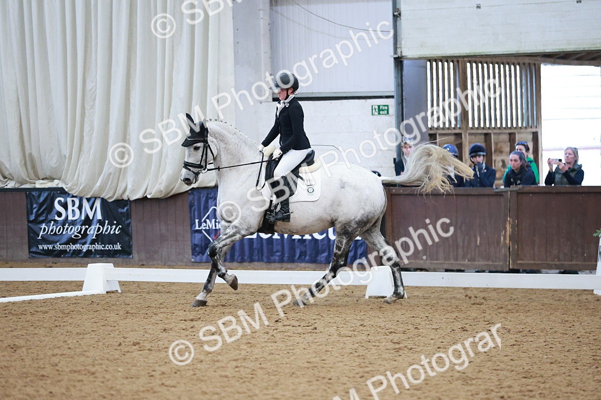SBM_004531 - Ring 3 - International -  Working Hunter Classes 23-2-25