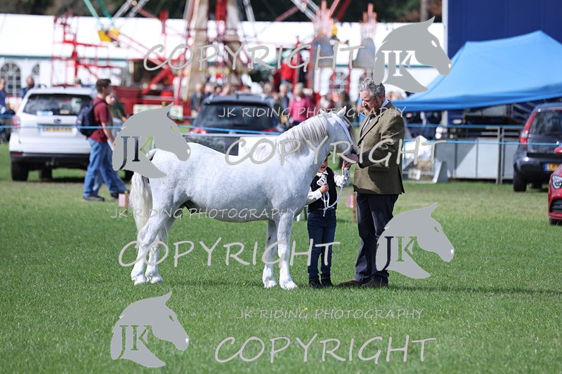 APP_2791 - Class 10a/b M&M in hand