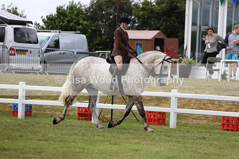 3E7A2454 - Open Ridden Championship