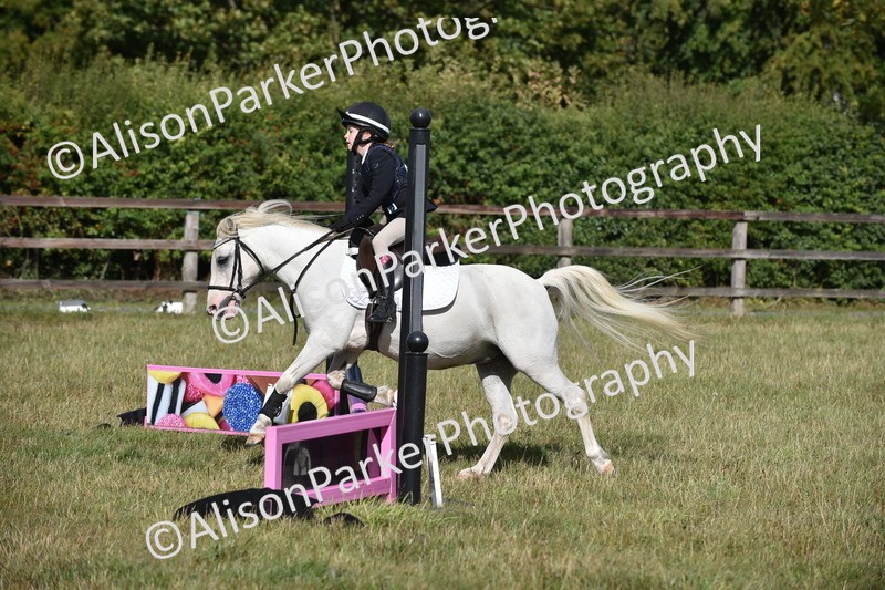 20250831-0428 - Class 7 - Absolute Novice 35cm