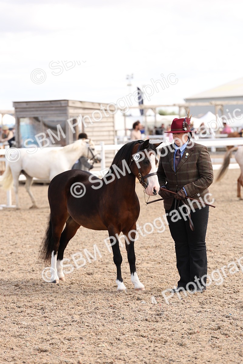 SBM_15053 - Class 209 - IH Veteran Pony