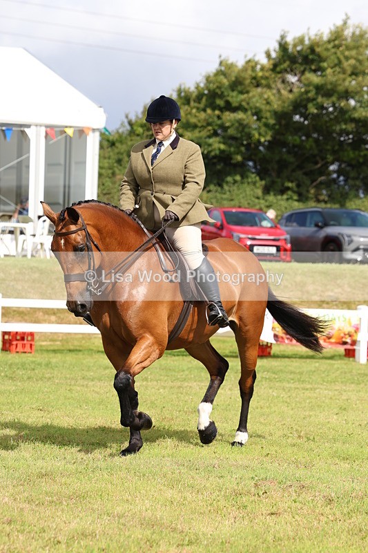 3E7A9427 - Class 4: Rising Star M/H Hunter