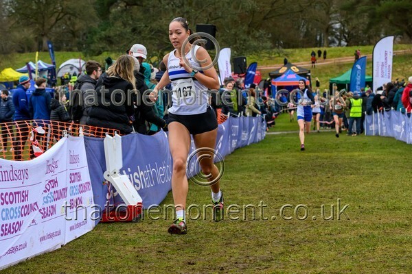 Falkirk26-913760 - Senior Women Set Two