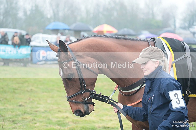 PtP 100324 1120 - Pytchley with Woodland Point-to-Point Guilsborough 10/03/24