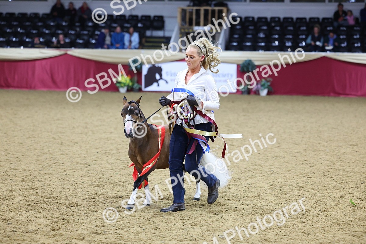 SBM_18751 - Class D IH Pony Champ