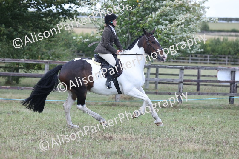 20250831-4380 - Class 20 - Ridden Coloured