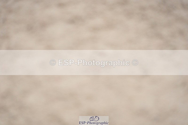 230924A-135048-06301 - 90 SJ Start to 14.00