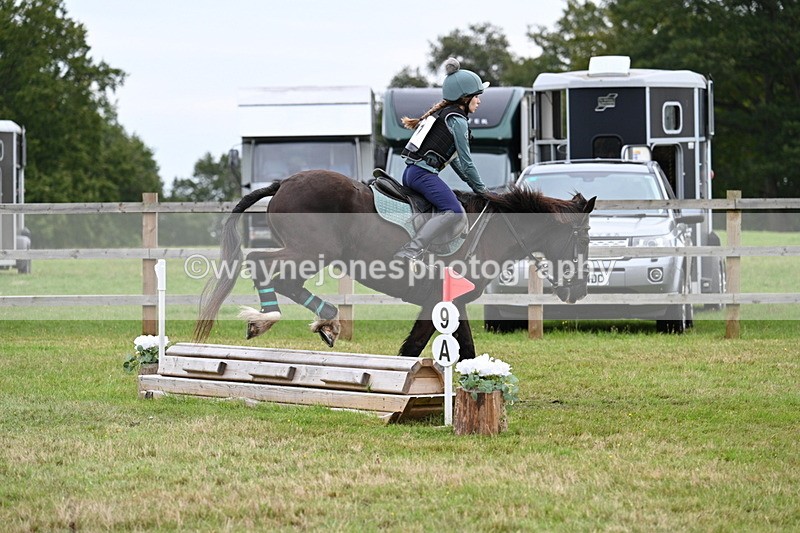 WJ7_7691 - 40cm Time 10:49 to 11:18