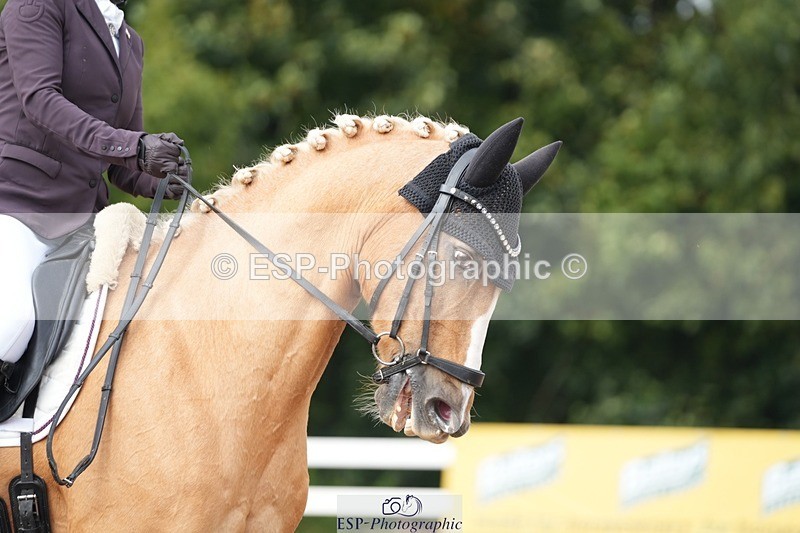 250907-153201-09561 - 121-Jodie.SmithAmber