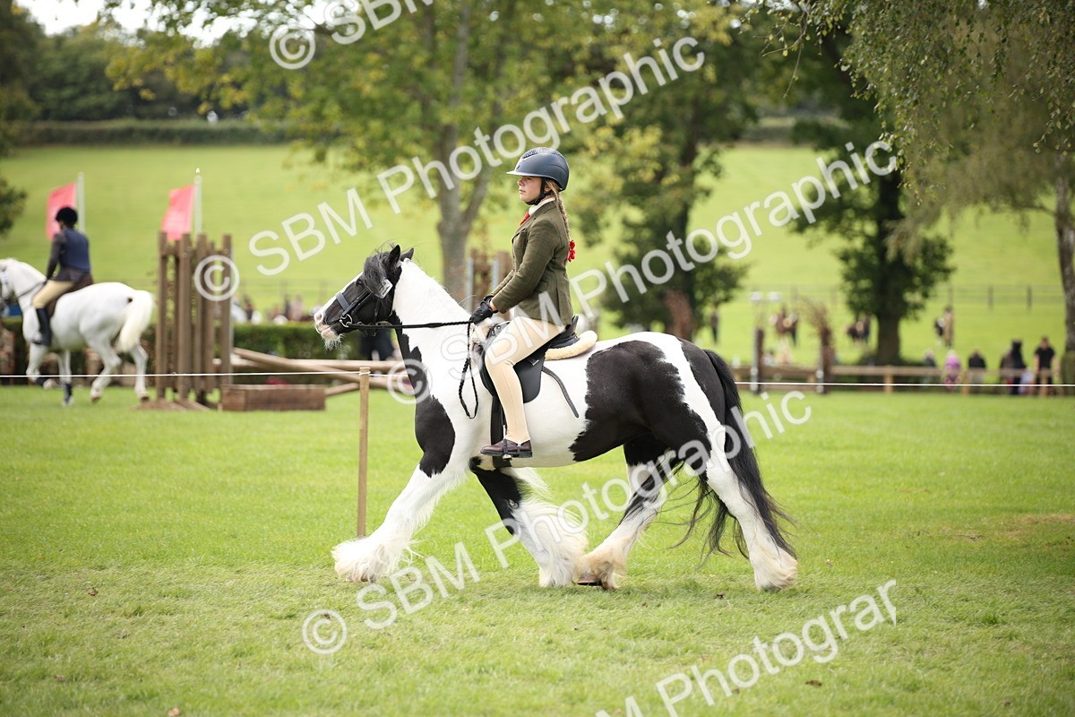 SBM_42361 - S13 - Pony Club Pony