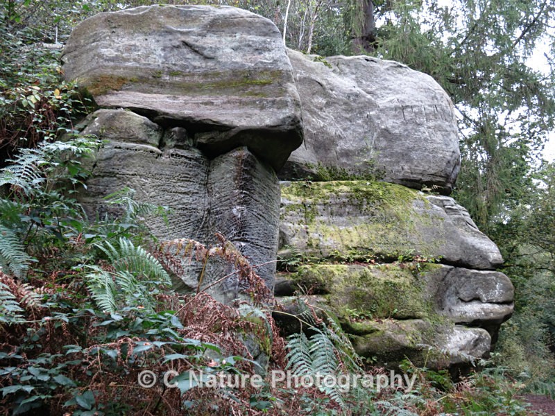 Rock Face - Country