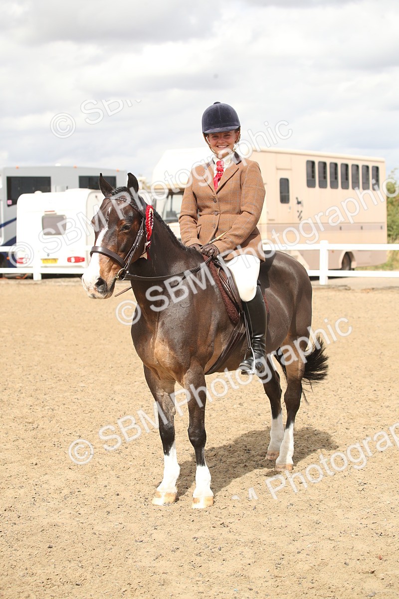 SBM_16556 - Class 506b - Working Veteran - 50cm (20+)