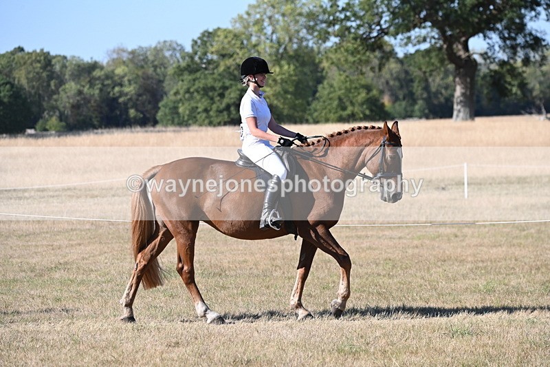 WJ6_9605 - Championship (Class's 40-44)