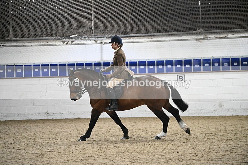 WJ7_4007 - Class 17 Ridden Cob