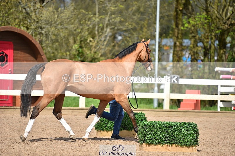 240417A-143904-00599 - 2pm to 3pm