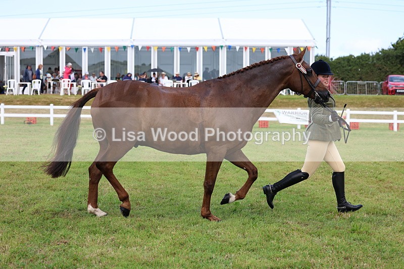 3E7A1098 - Class 8: Open Riding Horse/Hack