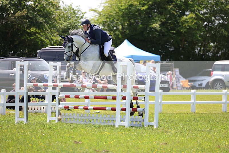 3E7A1291 - Class 12: Senior Foxhunter/1.20 open
