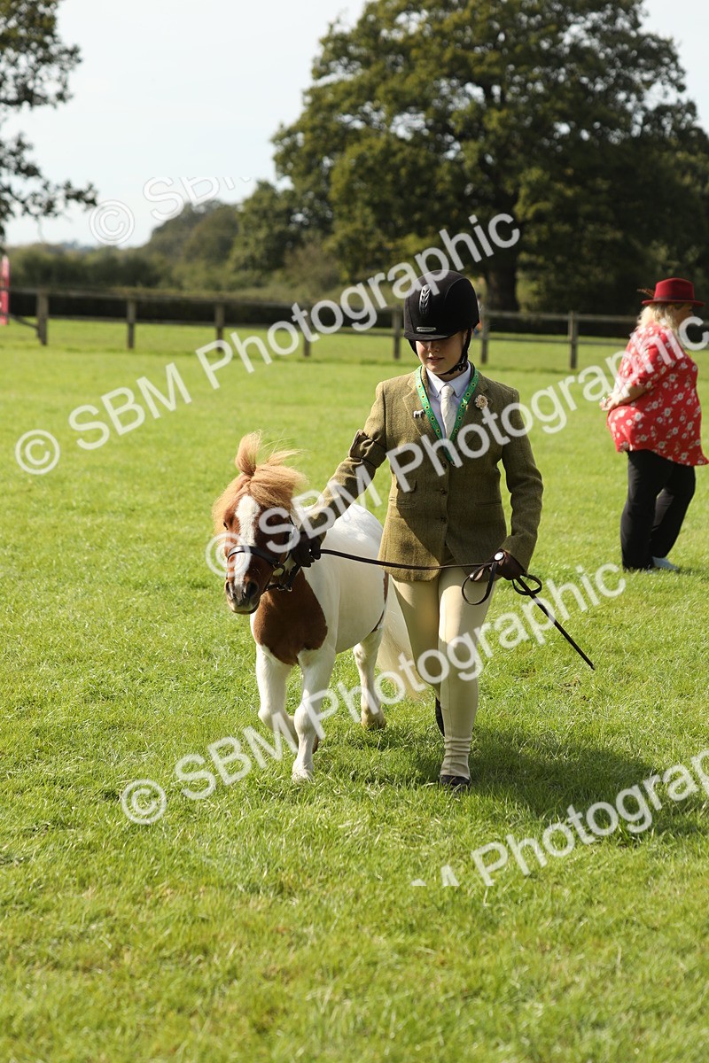 SBM_68594 - S40 - Junior Handler 9-12 Years