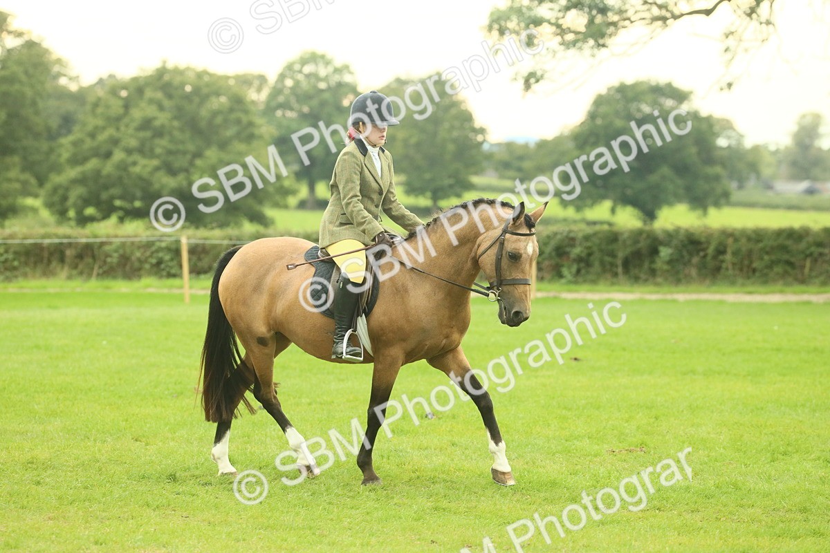SBM_73916 - S 61 - Show Pony & Show Hunter Pony Ridden