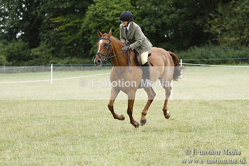 BVR160717-2217 - Ring 3 BVRC Show 16/07/17