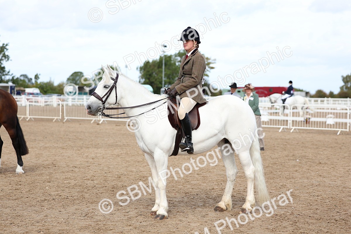 SBM_02392 - Class 19 - Horse or Pony Judge would most like to take home